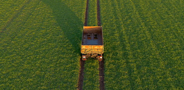 Landwirtschaft ohne Tier?