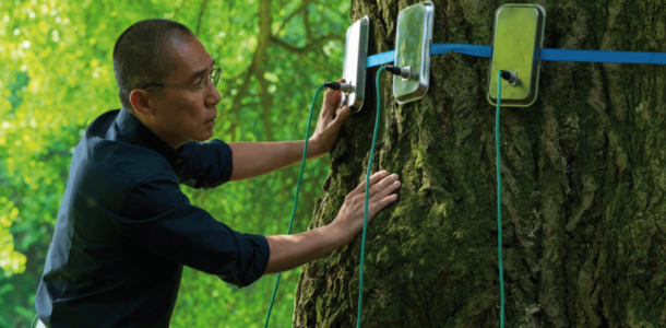 Film des Monats – Silent Friend