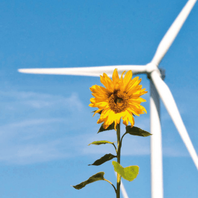 Energiewende im ländlichen Raum