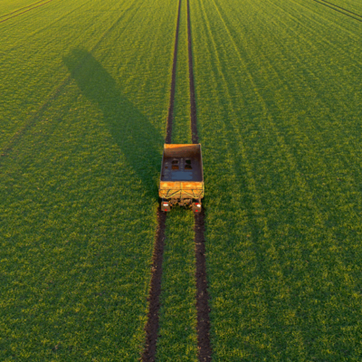 Landwirtschaft ohne Tier?