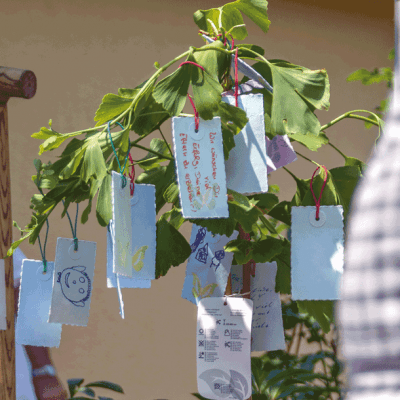 Familienleben – Wunsch und Wirklichkeit