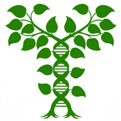 ° Dialogreihe “Innovation und Verantwortung”: Bioökonomie und Gesellschaft