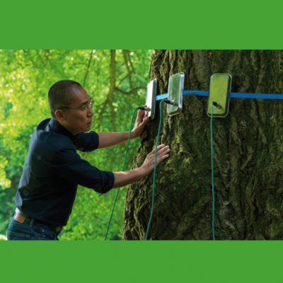 Film des Monats – Silent Friend