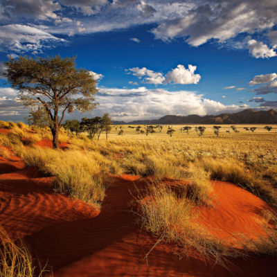 Studienreise Namibia