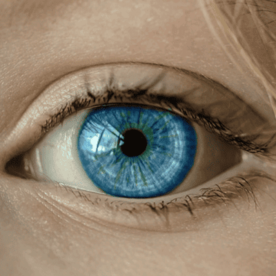Die Psyche des Homo Digitalis
