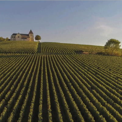 Champagne – Die Genussregion Frankreichs erleben