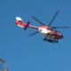 Blickwechsel zwischen Literatur und Wissenschaft -„Das Adrenalin”