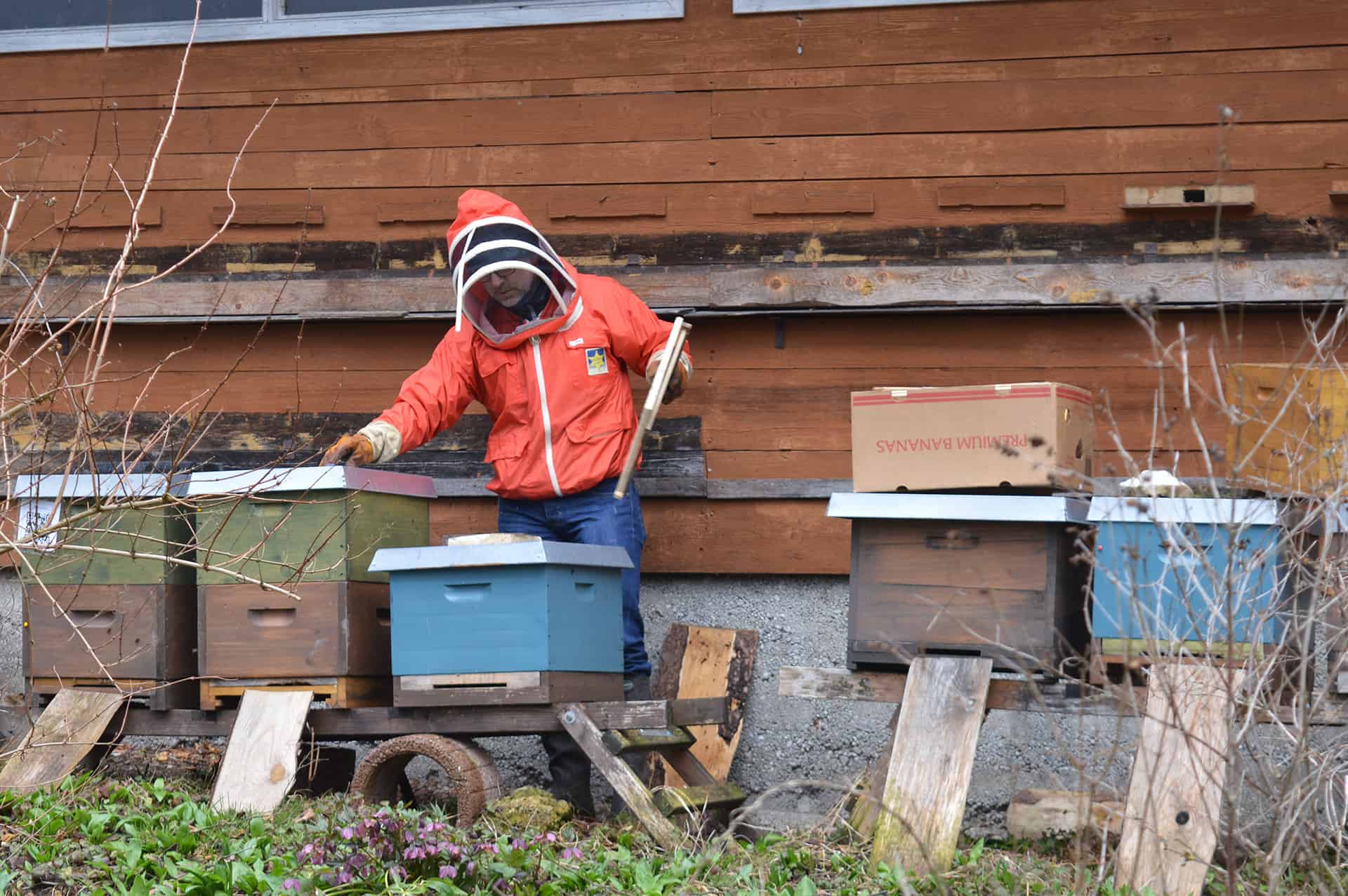 Ein Schlehdorfer Imker versorgt auf dem KlosterGut Schlehdorf seine Bienen.