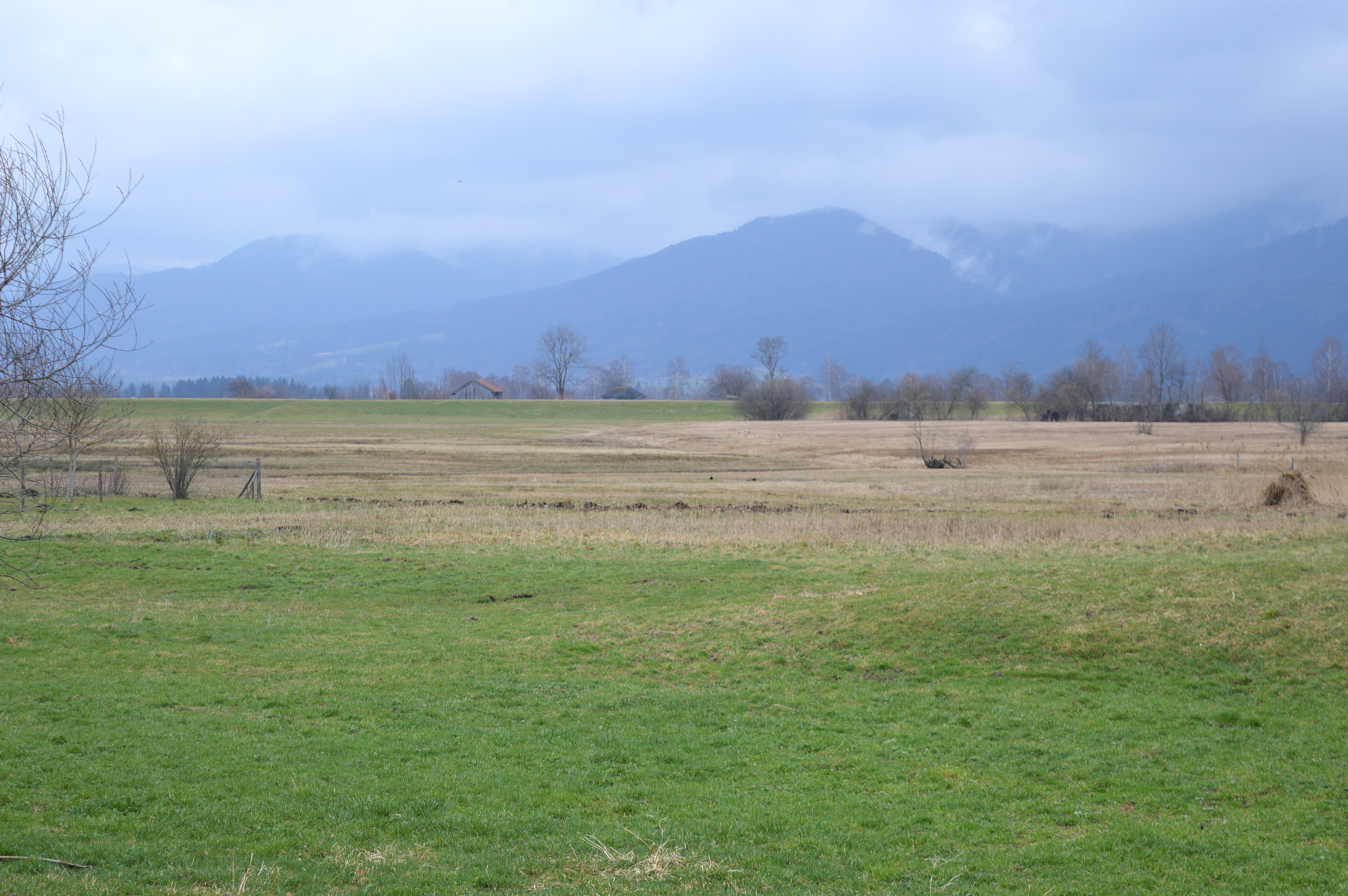 Schlehdorf_Landschaft2.jpg