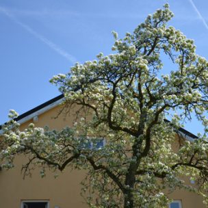 Newsletter April 2018