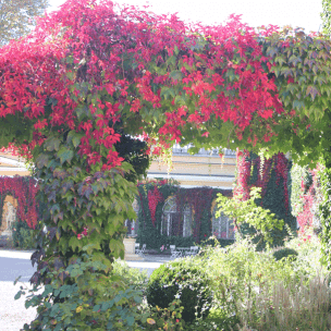 Herbstlaub im Innenhof (Foto: dgr/eat archiv)