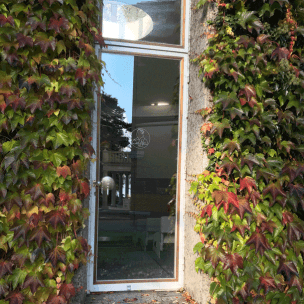 Rotunde von außen, mit Spiegelung der Schlossterrasse Foto: Grass/eat archiv