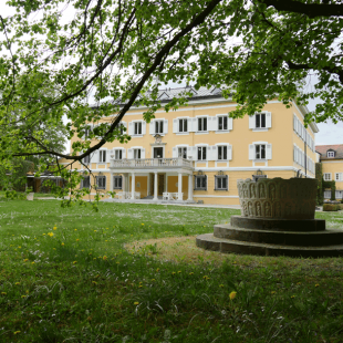 Blühende Wiese vor Schloss Tutzing