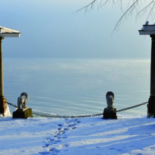 Löwenterrasse im Park: Newsletter Dezember 2020, Evangelische Akademie Tutzing (Foto: ma/eat archiv)