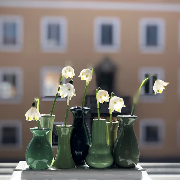 Frühling auf der Fensterbank