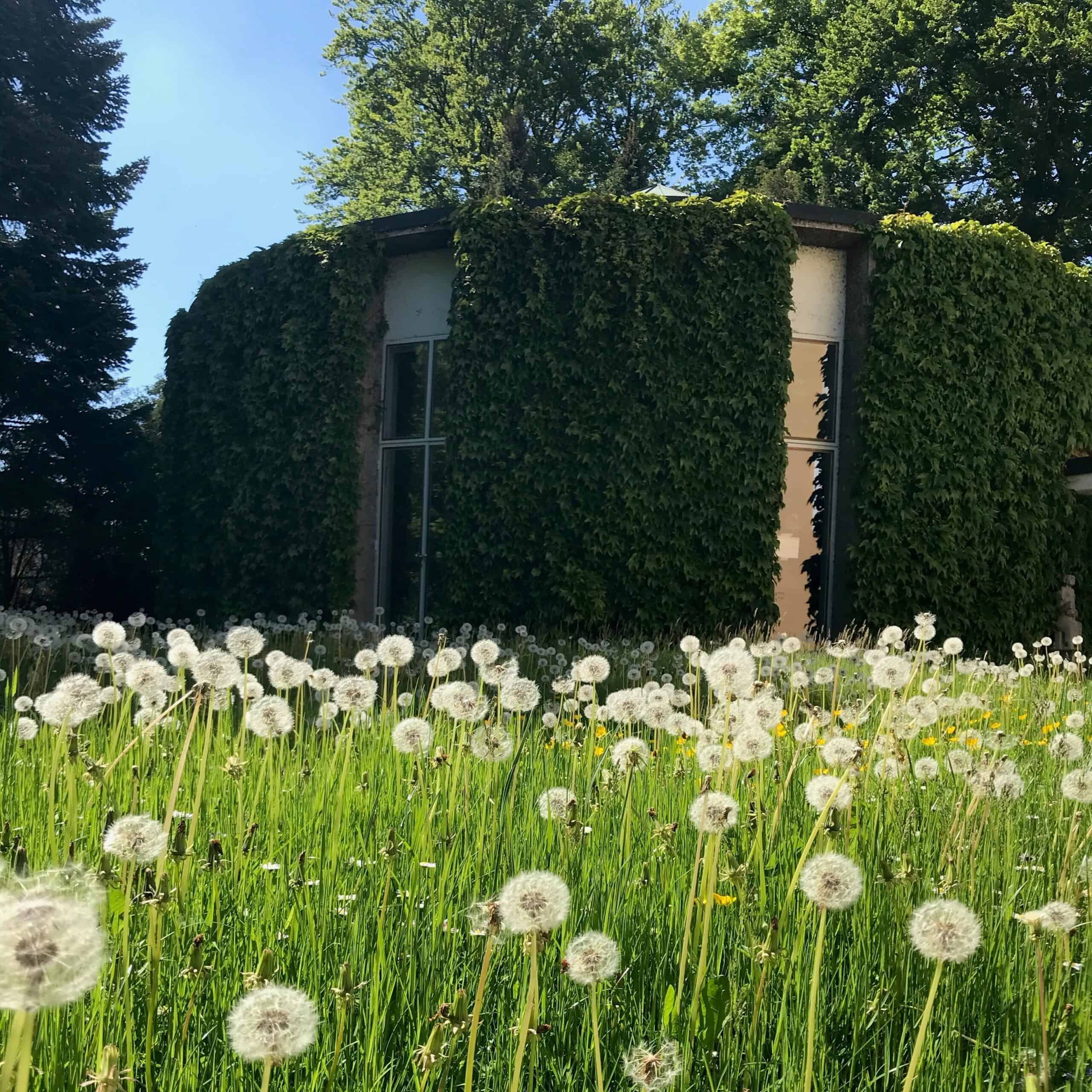 Rotunde im Sommer