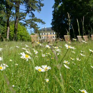 Blühende Natur im Schlosspark (ma/eat archiv)