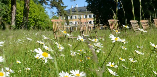 Blühende Natur im Schlosspark (ma/eat archiv)