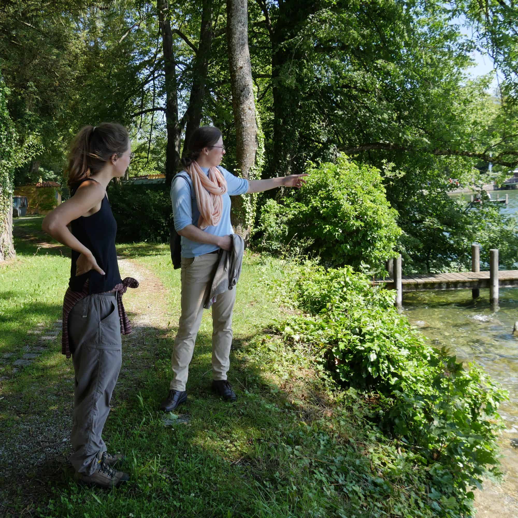 Biodiversität Tutzing, Seeufer