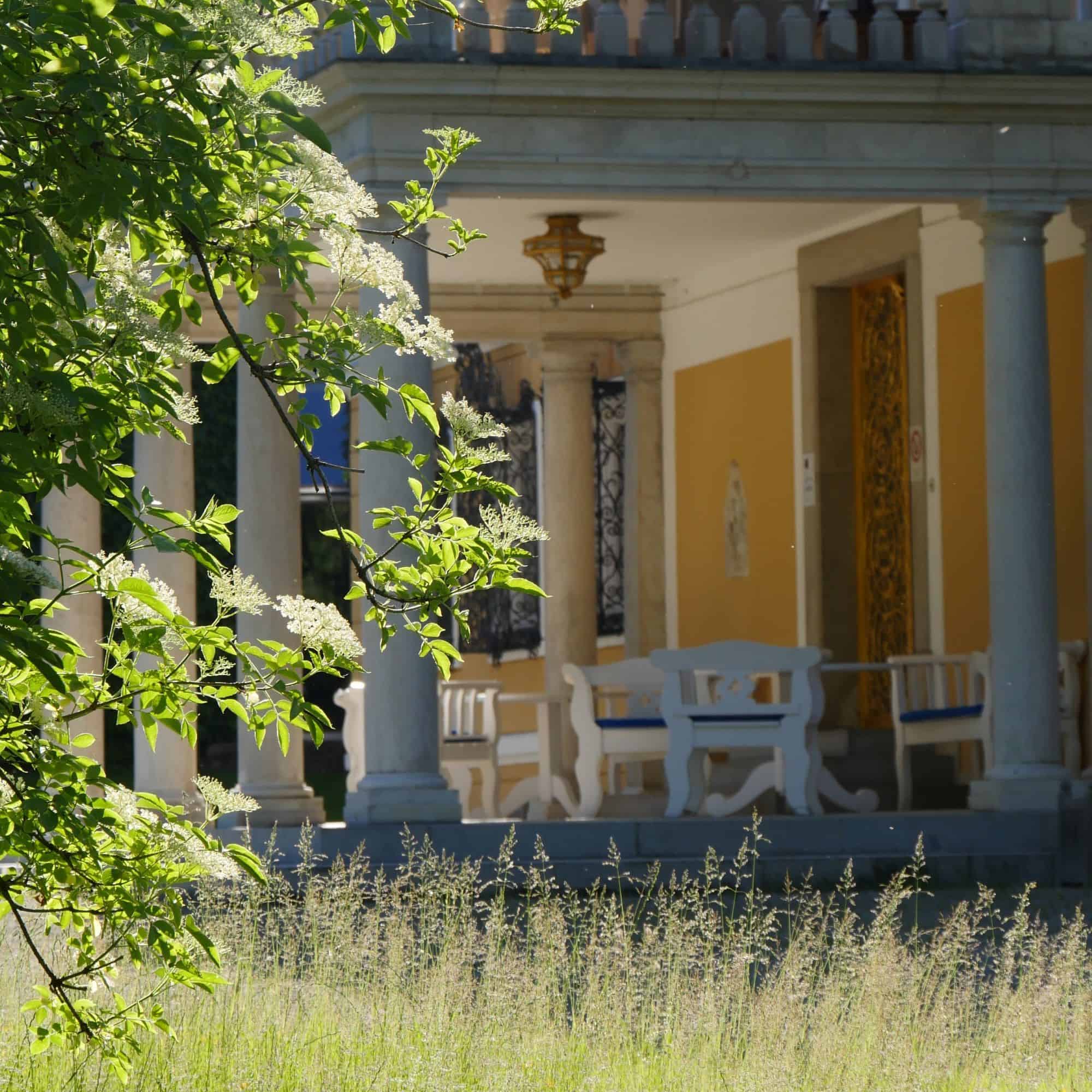 Wiesen, Bäume, Gräser, Natur, Schloss