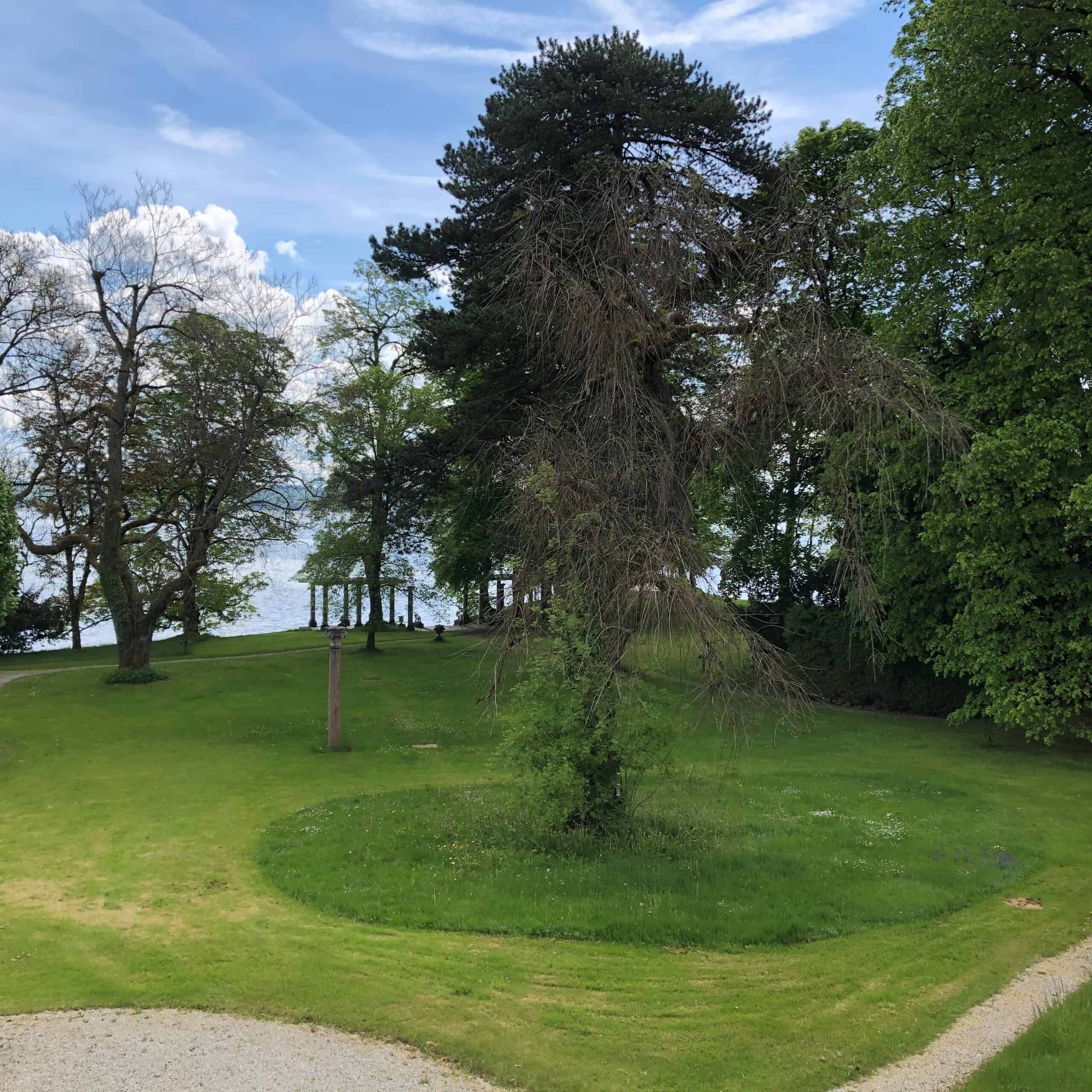 Habitatbaum, Biotop, Schloss Tutzing