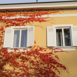 Bunte Blätter an der Schlossmauer (dgr/eat archiv)