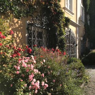 Der Innenhof von Schloss Tutzing an einem sonnigen Septembertag: Blühende Rosen und Lavendel (dgr/eat archiv)