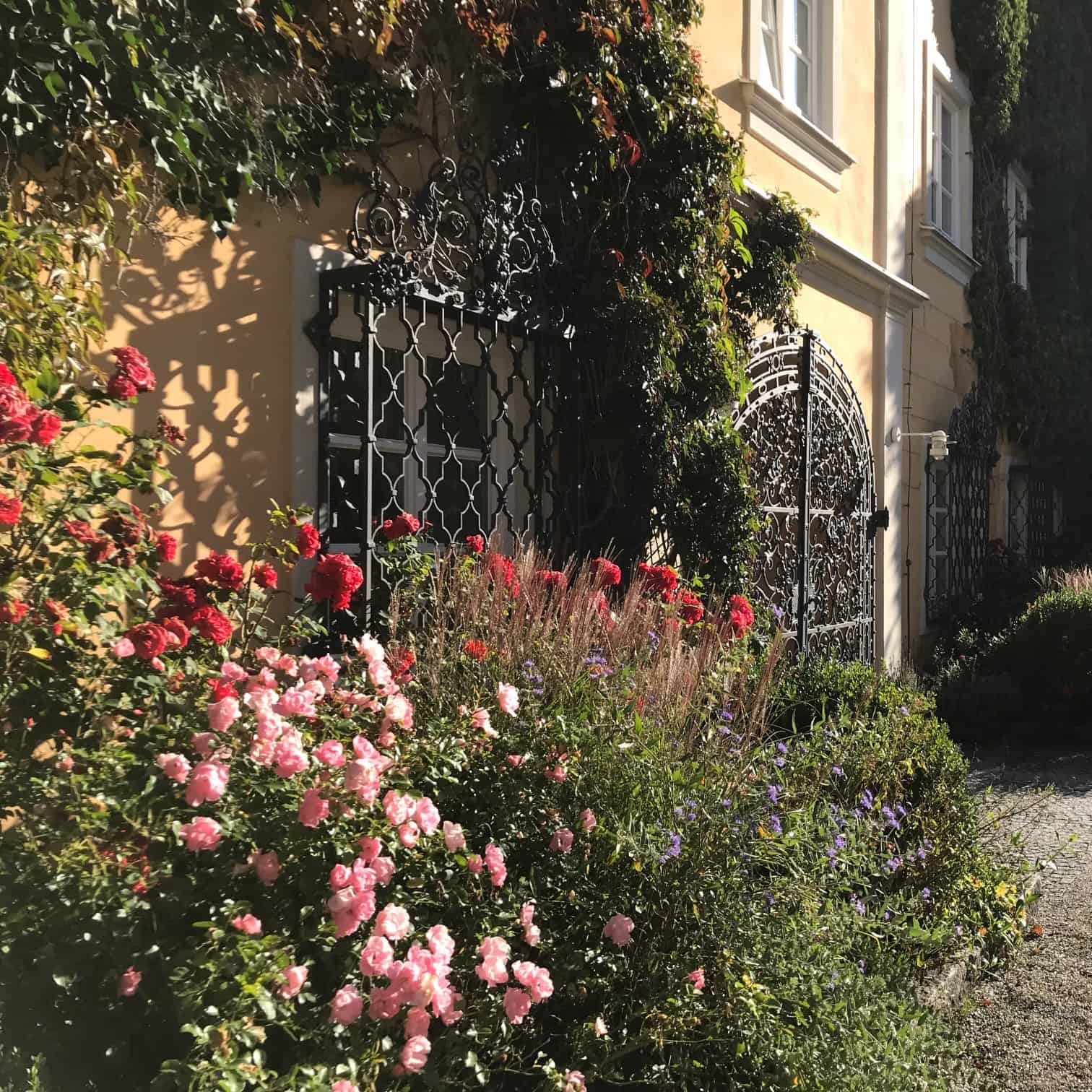 Blühende Rosen und Lavendel im Schloss