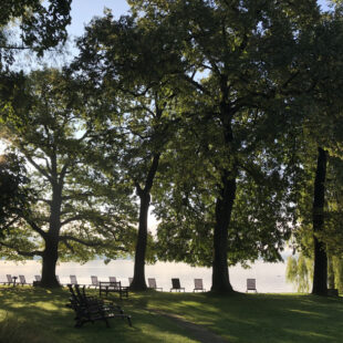 Bäume am Seeufer der Evangelischen Akademie Tutzing (Foto: Angelika Mrozek-Abraham/Evangelische Akademie Tutzing)