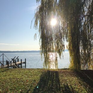 Am Ufer des Starnberger Sees. Aufnahme vom Park von Schloss Tutzing (Foto: Dorothea Grass / Evangelische Akademie Tutzing)