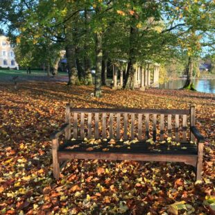 Parkbank im Herbst: Schlosspark Tutzing (dgr/eat archiv)