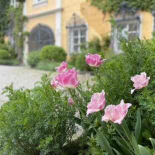 Evangelische Akademie Tutzing (Foto: Grass/ eat archiv)