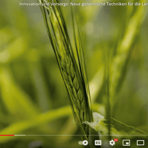 Innovation und Vorsorge (Screenshot eat)