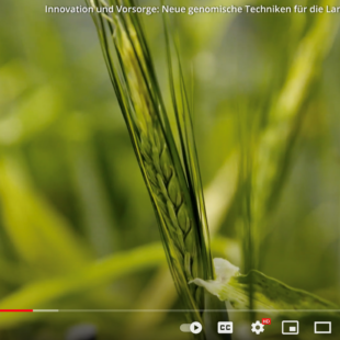 Innovation und Vorsorge (Screenshot eat)