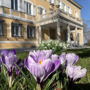 Stellvetretende Hauswirtschaftsleitung in Teil- oder Vollzeit (m/w/d)