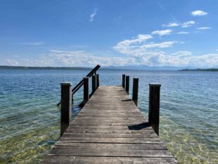 Foto: Grass / Evangelische Akademie Tutzing