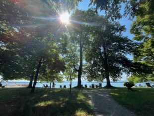 Newsletter der Evangelischen Akdaemie Tutzing