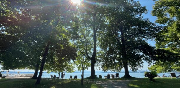 Newsletter der Evangelischen Akdaemie Tutzing