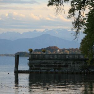 Newsletter November 2025