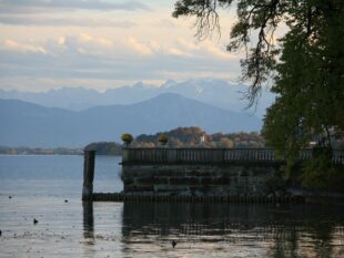 Newsletter November 2025