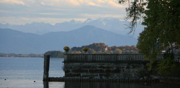 Newsletter November 2025