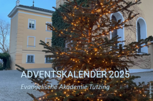 Adventskalender 2025