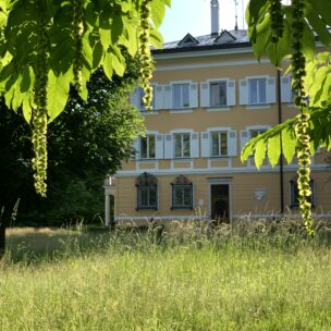 Das Freiwillige Ökologische Jahr – FÖJ – bei uns!