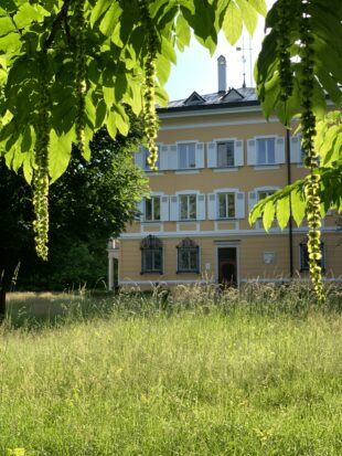 Das Freiwillige Ökologische Jahr – FÖJ – bei uns!