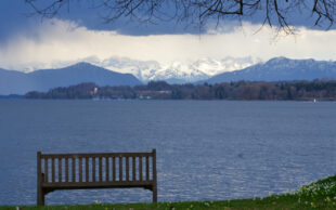 Newsletter März 2026